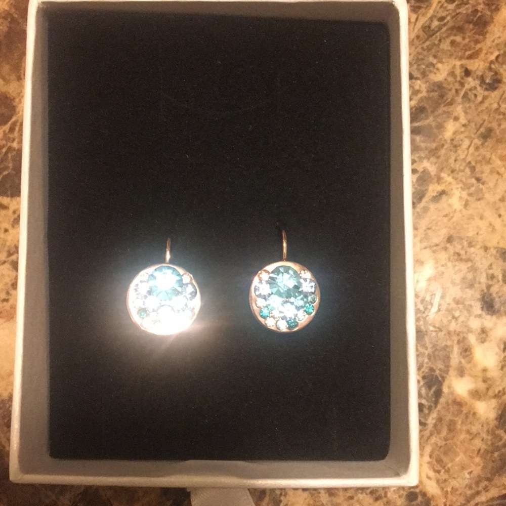 ✨✨Crystal Blue and Gold Earrings✨✨